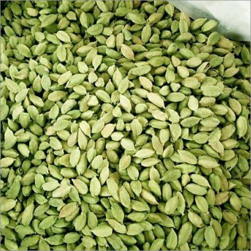 7-8-MM-Bold-Cardamom